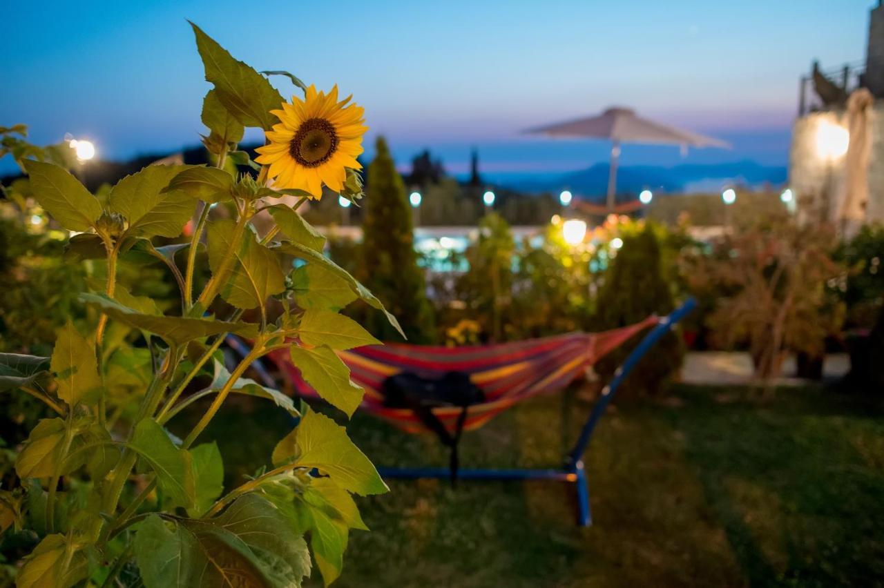 Villa Milena Κότορ Εξωτερικό φωτογραφία